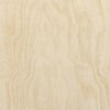 Ekena Millwork 11 3/4W x 11 3/4H x 3/8T Wood Hobby Board, Birch HBW12X12X375ABI